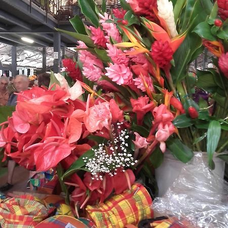 Cozy T2 Calme Au Coeur De La Nature ลา ทรินิเต ภายนอก รูปภาพ